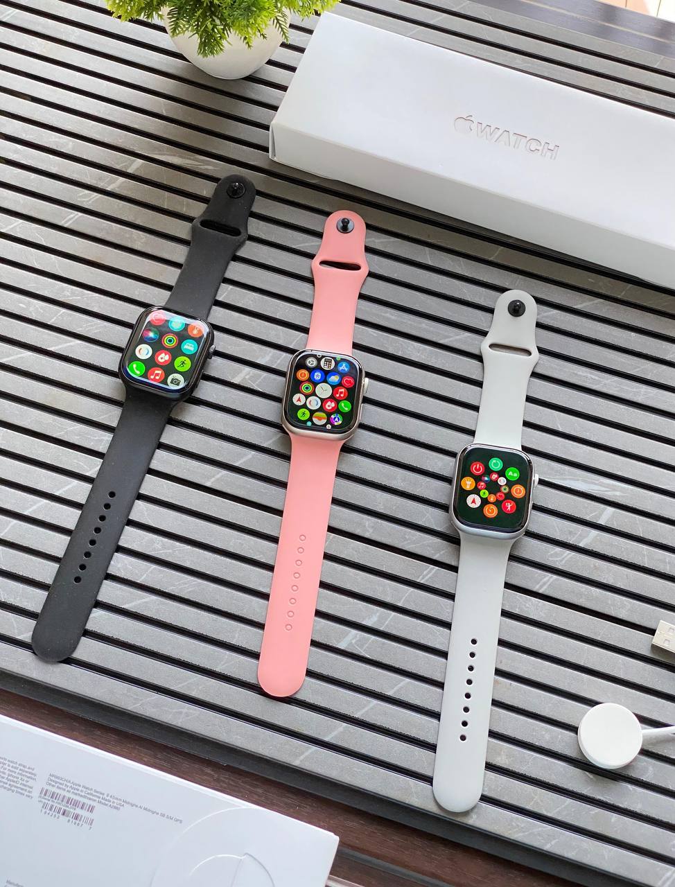 APPLE SMARTWATCH