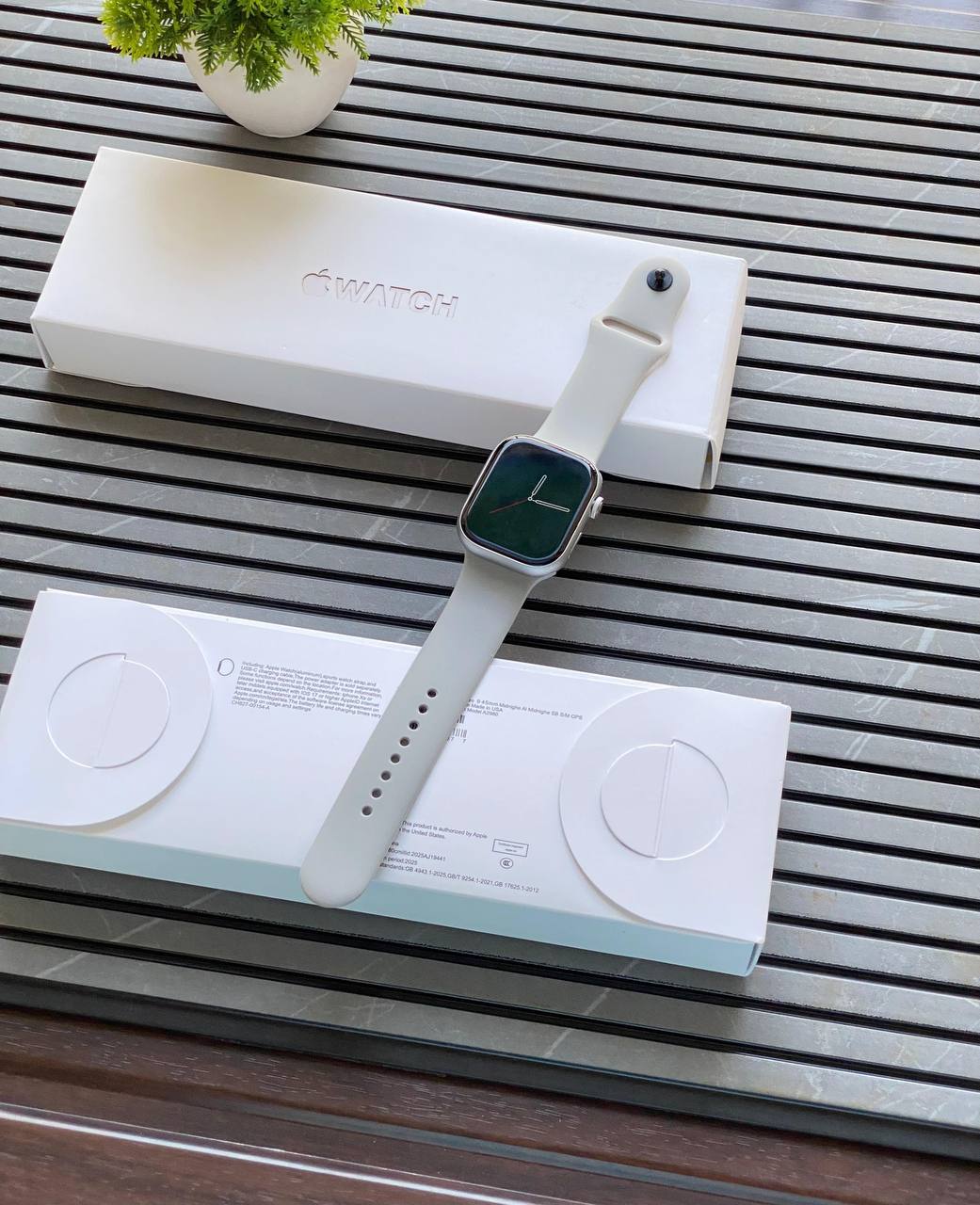 APPLE SMARTWATCH